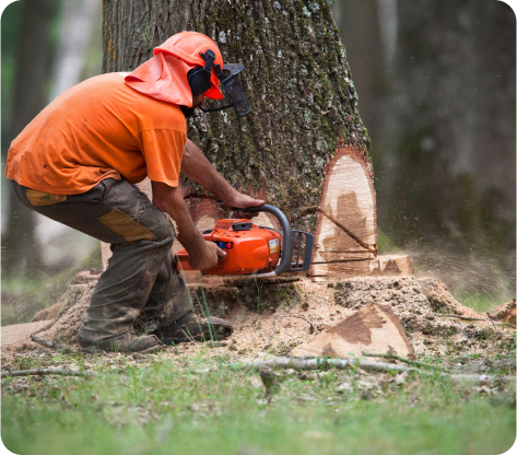 Paysagiste Demo 5 R1