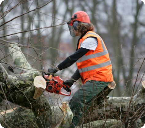 Paysagiste Demo 5 R2