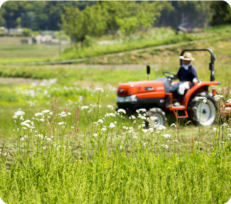 Paysagiste Demo 5 R4