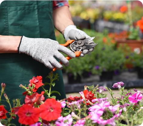 Paysagiste Demo 5 R6