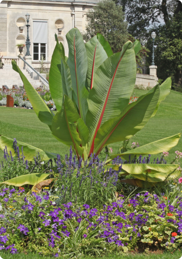 Paysagiste Demo 5 Real1